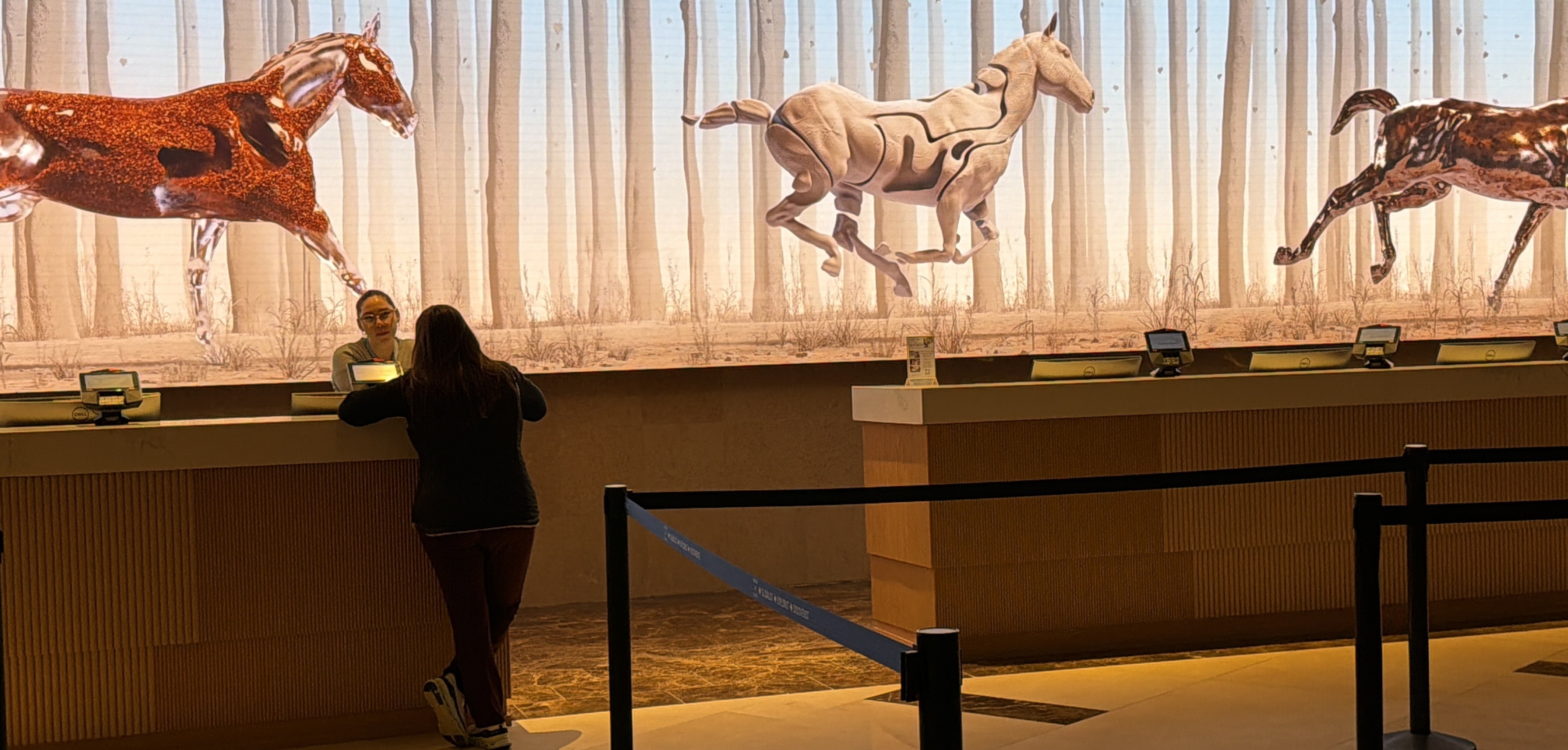 Las vegas hotel room