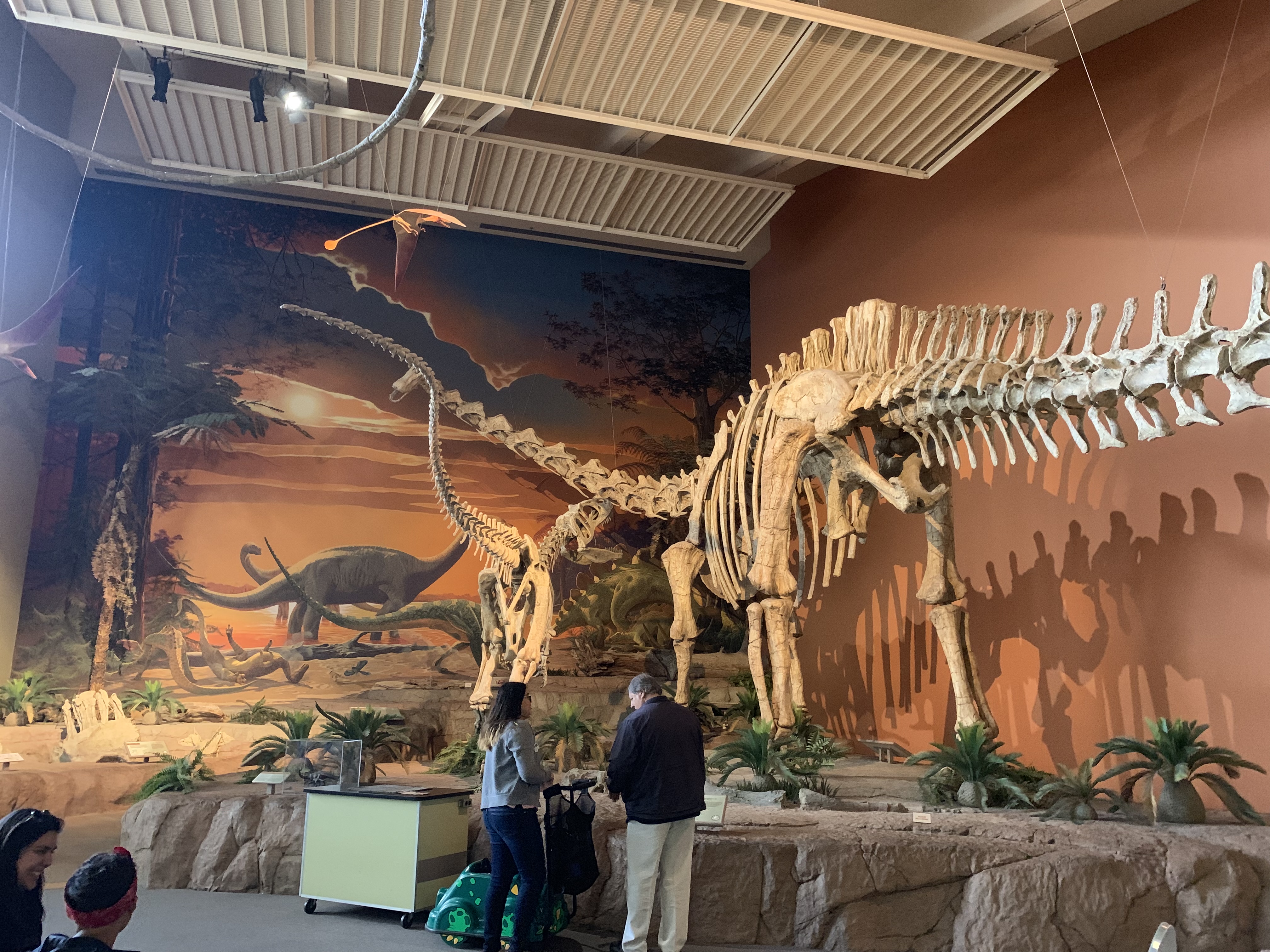 Dino museum